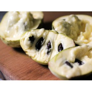 Ásimina trojlaločná - Banán severu PAW PAW (Asimina triloba) ´REBECCA´ - výška 60-80 cm, kont. C3L